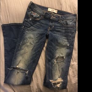 Hollister bootcut Jeans